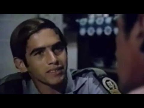 El Brigadista (1977)