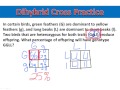 Genetic Traits and Punnett Squares
