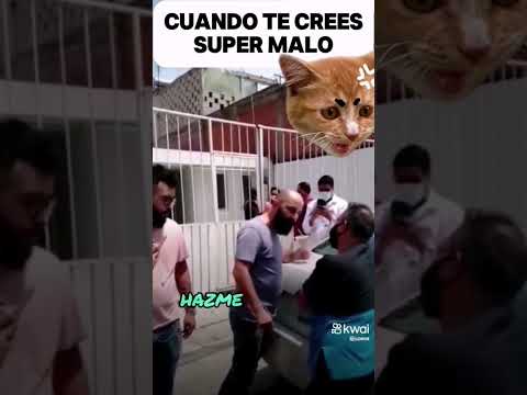 ? me recordó a un crikoso que anda por ahí javicriko jajaja