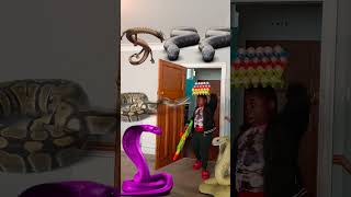 Animal funny video Anaconda snake python movie in real life bhoot wala #bhojpuri #vfx #shorts 2025