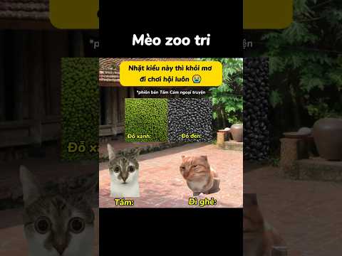 Quá vô đạo bất lương 🙄