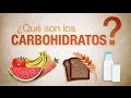 Comprensión de los Carbohidratos