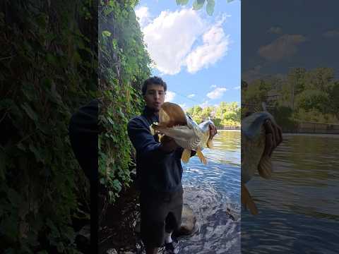 I caught a Spillway MONSTER