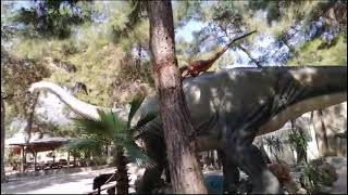 Nehir Su Dino Parka Gitti