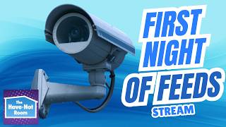 First Night of Feeds! Come Hang out with Us!