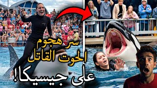 لماذا هاجمت الحوت القاتل (الأوركا) جيسيكا؟ الحقيقة التي لا يعرفها العالم.