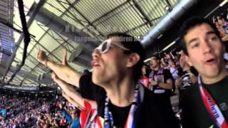 Eisbären in Hamburg 04.Oktober 2015