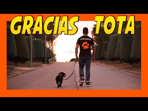 💔 HASTA SIEMPRE TOTA 💫🐶| DOS ADIESTRAMIENTO 🐾