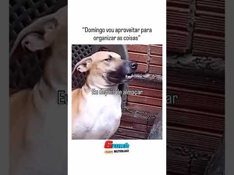 DOMINGO VOU DEIXA PARA ORGANIZAR AS COISAS