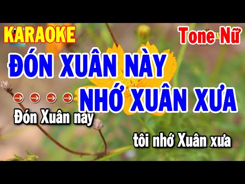 Karaoke Đón Xuân Này Nhớ Xưa Tone Nữ Nhạc Xuân 2024 | Thanh Hải