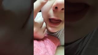 fiorentina - Torino 2-2