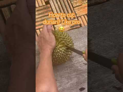 HowtocutDuriankohsamui