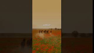 WHAT IF I TOLD YOU? The Chosen Joel's Gospel Inspirations #iesus #thechosen5 #christian #philwalker