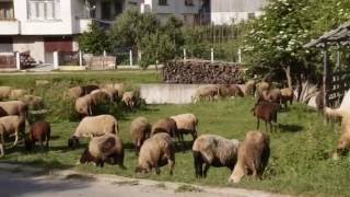 Arda village,  source of the beautiful Arda River.