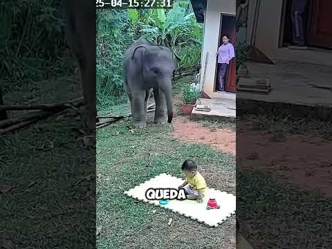 Ella penso que el bebé se iba a parar e iba a correr