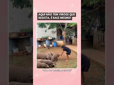 Assim se vive feliz! .... #luccaszembrini #filhos #familia #vidanaroça #maternidade