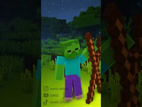 Quand t'essayes de dormir sur Minecraft...