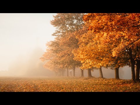 Relaxing November Autumn is Coming &#127810; Peaceful Soothing Instrumental Music ~ Autumn Scenery 4K