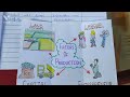 Understanding Production and Lesson Planning