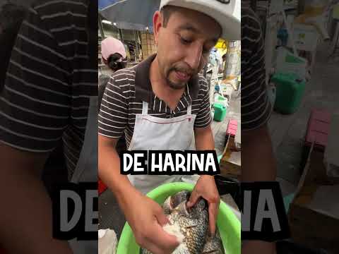 Los MARISCOS MÁS RAROS de México 🤯 P.6 #mojarras