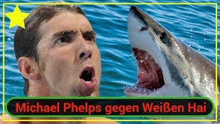 Michael Phelps gegen Weißen Hai als Experiment: Wer schwimmt schneller?