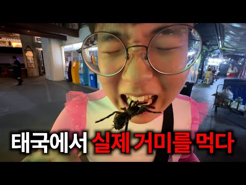 길거리에서 파는 거미 먹방 [방콕1]