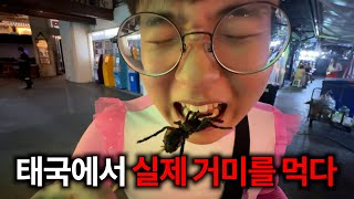 길거리에서 파는 거미 먹방 [방콕1]