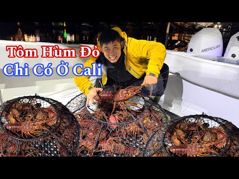 Thả Lồng Tìm Tôm Hùm Đỏ Ở Biển Phía Nam Cali