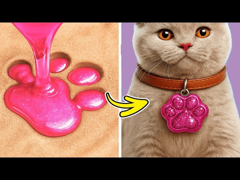 From Stray to Safe 🐾❤️ DIY Cat Rescue Compilation!