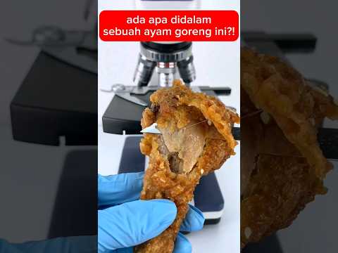 Melihat ayam goreng dengan mikroskop😱 #fakta #faktamenarik #shorts