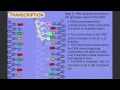 Transcription and mRNA Processing Concepts