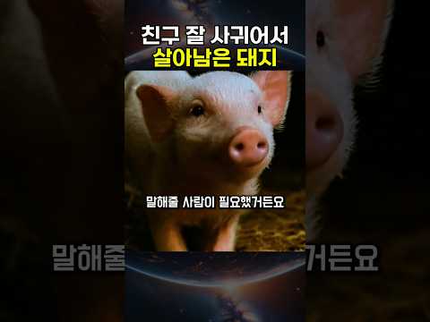 이래서 진짜 친구를 잘 사귀는게 중요함