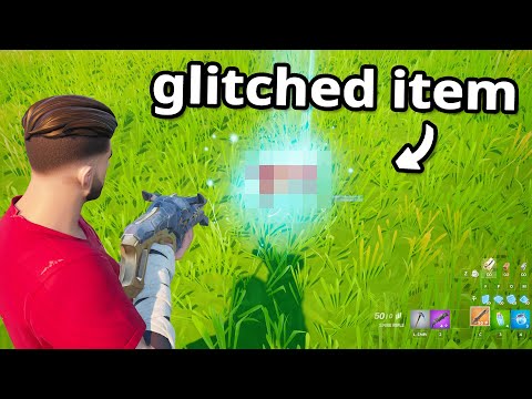 I tried a Fortnite exploit.