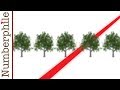 Orchard Problems and Visibility in Mathematics