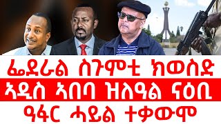 ፌደራል ስጉምቲ ክወስድ/ኣዲስ ኣበባ ዝለዓል ናዕቢ/ዓፋር ሓይል ተቃውሞ