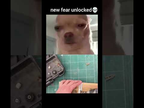 main boss of villains #memes #funny #shorts #fear