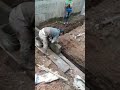 Comprensión del Video: El Viaje del Tren