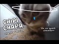 Comprensión del Video Tutorial