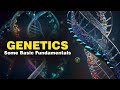 Genetics Concepts and Terminology