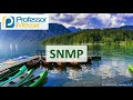 Understanding SNMP and OIDs