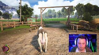 We're playing Quiet Farm - Cow Simulator