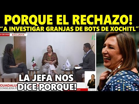 La JEFA Taddei Explica Porque el INE rechazo investigar ‘guerra sucia’ contra AMLO y Sheinbaum