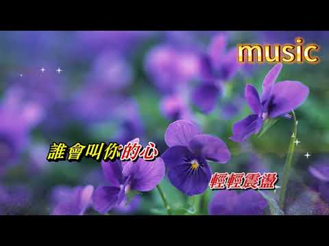 告訴我 葉麗儀KTV 伴奏 no vocal 無人聲 music 純音樂 karaoke 卡拉OK 伴唱 instrumental告訴我 葉麗儀