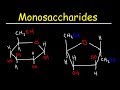 Carbohydrate Structure and Function