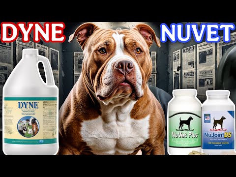 Dog Supplement Comparison: Dyne vs Nuvet