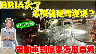 電動車火燒，真相能有多不可思議【Echo’s Ev Life】