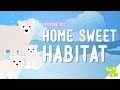 Understanding Habitats and Food Webs