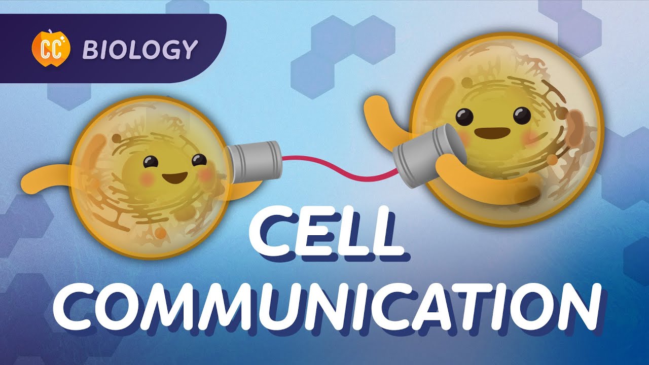 Exploring Cell Communication and Signaling Mechanisms