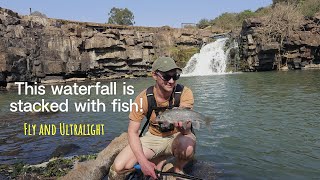 Natal Scaly feeding frenzy in late winter | Fly fishing and ultralight lures