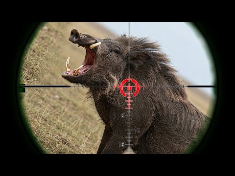 FIGHT WITH HERDS OF MONSTERS! Farmers battle a wild boar invasion.
